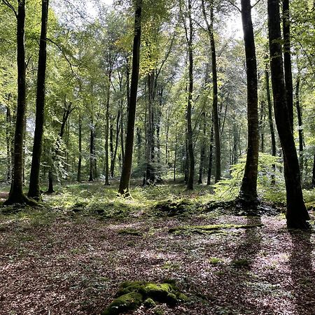 Le Courtil Villa Cerisy-la-Foret Buitenkant foto